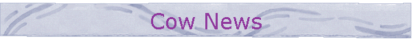 Cow News