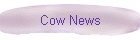 Cow News
