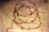 circles.gif (76098 bytes)