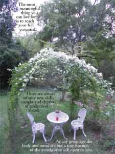 Photo by Tom Lohre of terris of wild clematis  with sayings by his father.
