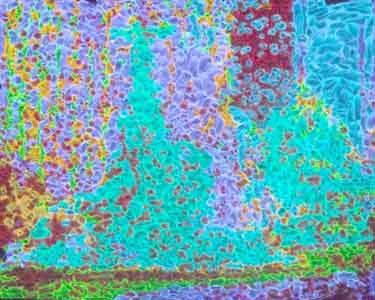 Fountain Square XXV, Wax on aluminum, Glow-in-the-dark colors, 20" x 12", March 10, 2011, by Tom Lohre